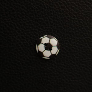 Alternative view of SWB-1007