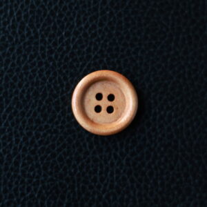 Alternative view of WB-1004
